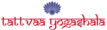 Organization Photo 18