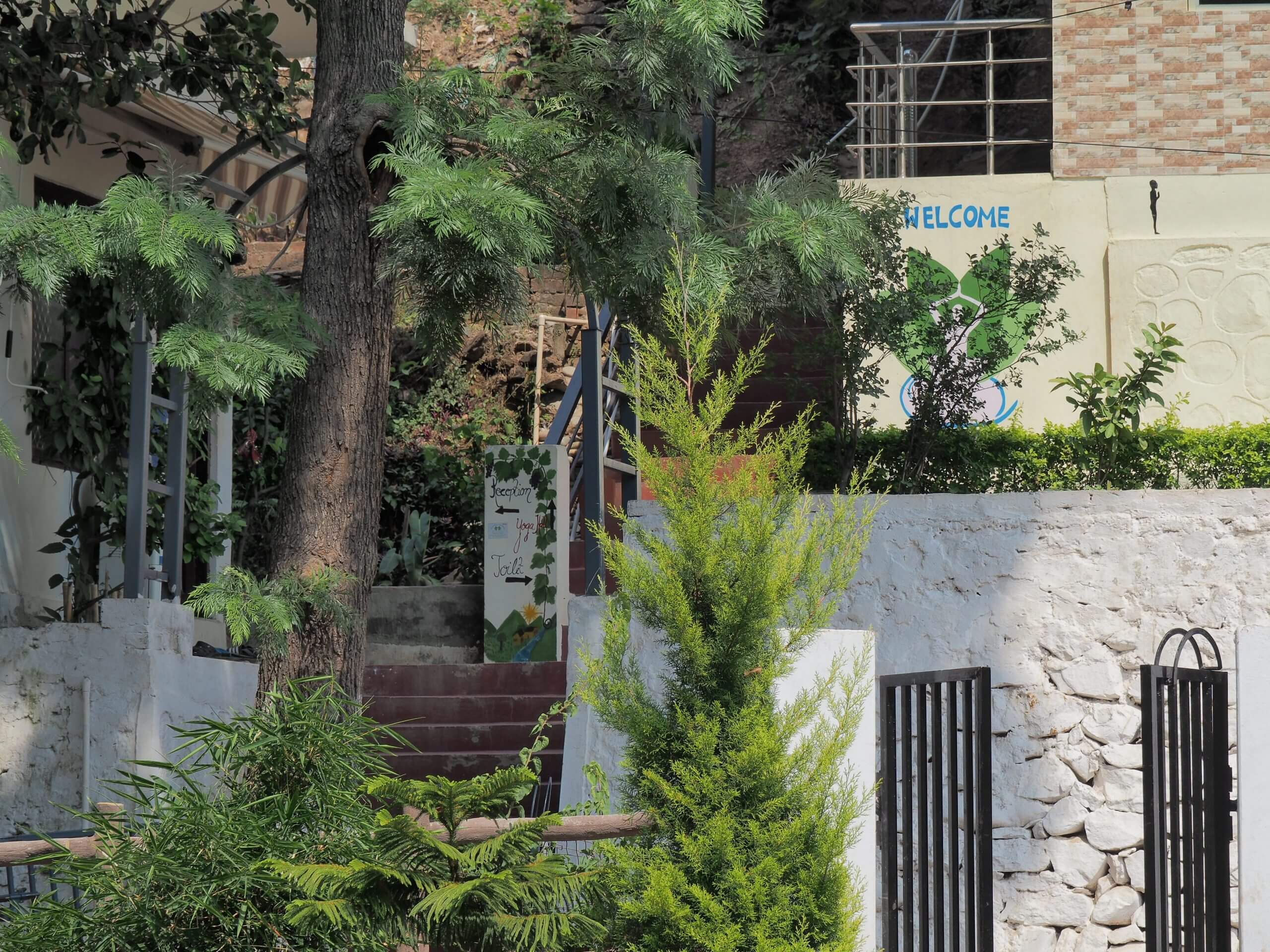 Shared Triplet Room (3 beds) - Photo 17 Days Yoga & Ayurveda Retreat – Yoga Vidya Mandiram, Rishikesh, India yoga retreat