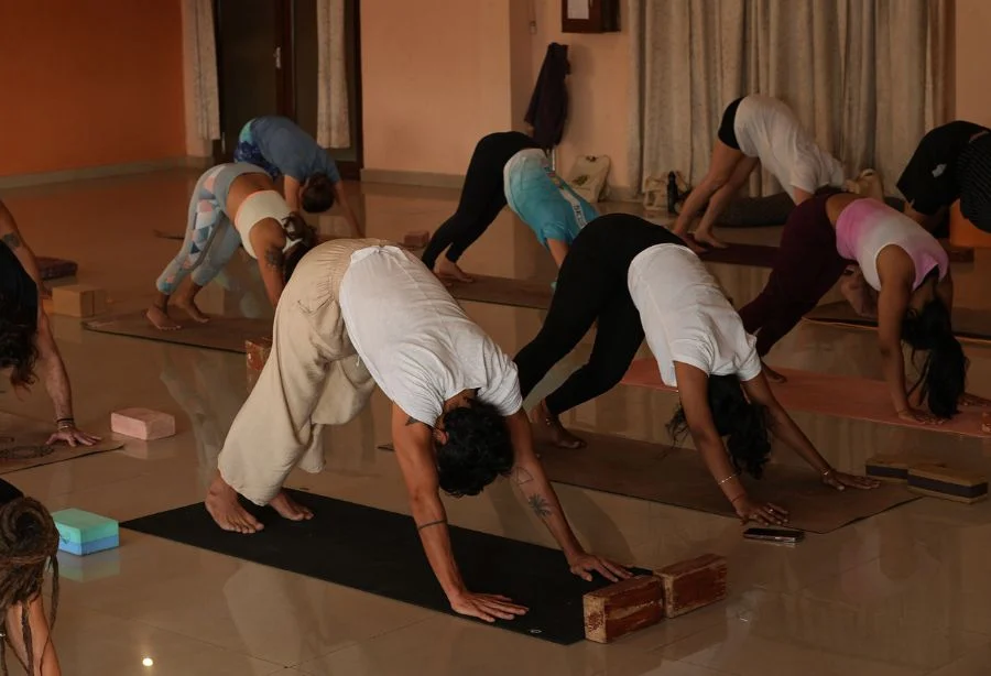 Scenic view at 100 Hour Yoga Teacher Training in Rishikesh, India – Maharishi Yoga Peeth retreat location