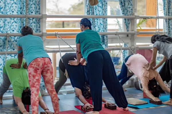 Photo of 100 Hour Yoga Teacher Training Course in Rishikesh, India – Rishikesh Yog Kendra yoga retreat in Uttarakhand