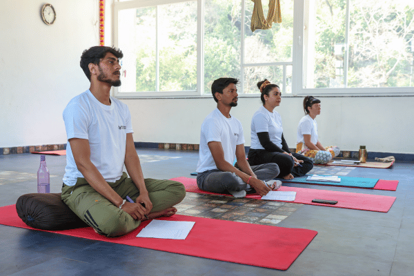 Photo of 100 Hour Yoga Teacher Training Course in Rishikesh, India – Rishikesh Yog Kendra yoga retreat in Uttarakhand