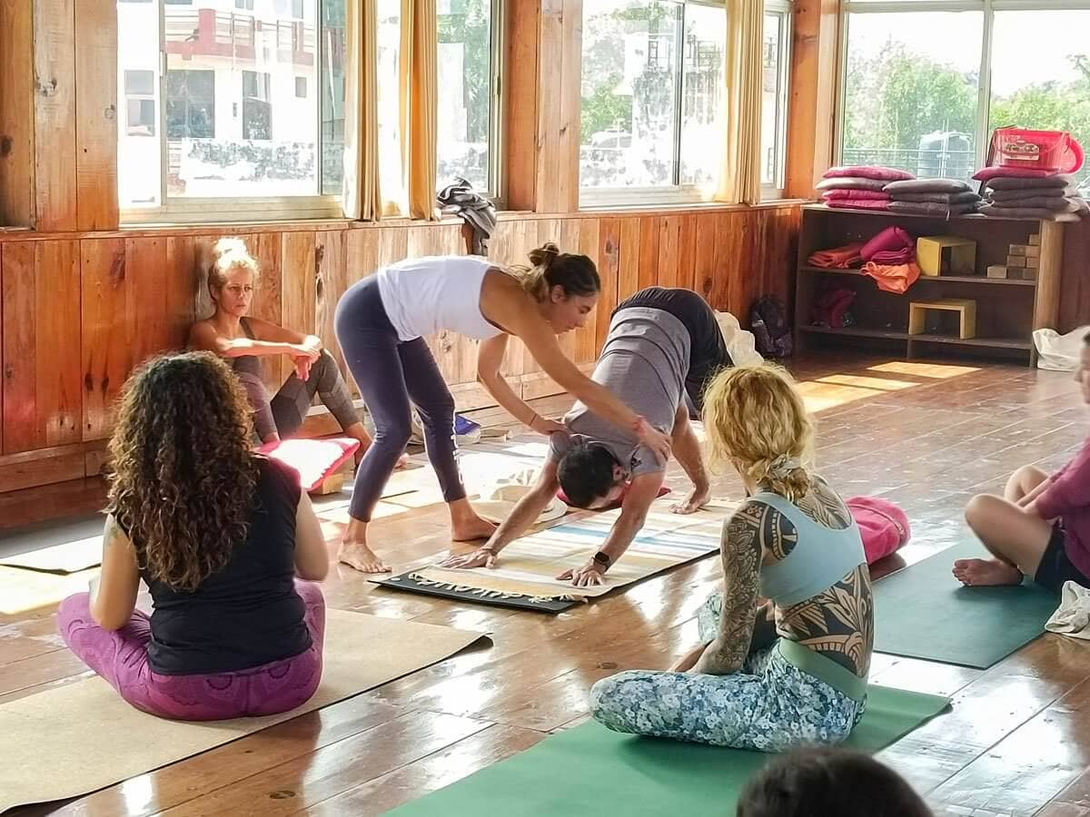 Photo of 100 Hour Yoga Teacher Training in Rishikesh, India – Rishikul Yogshala (Yoga Alliance Certified) yoga retreat in Uttarakhand