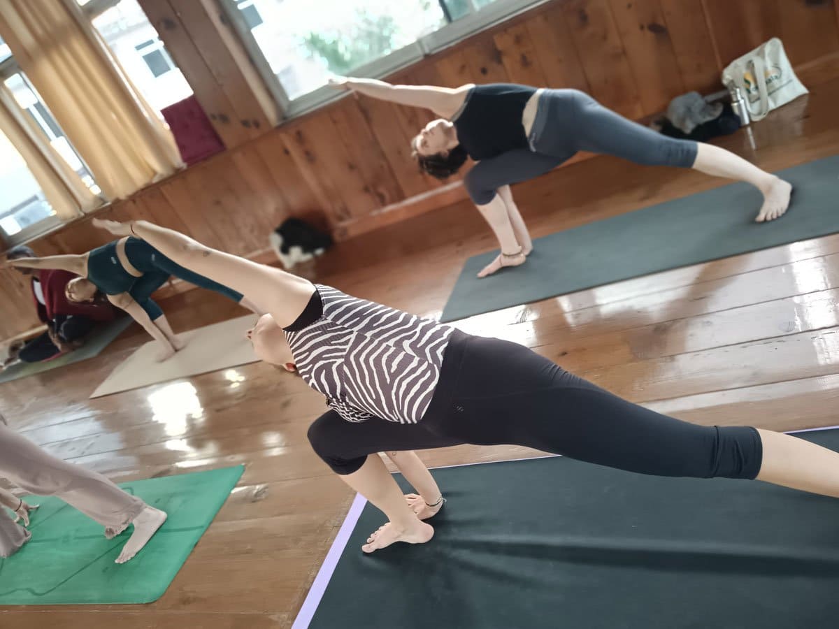 Facilities at 100 Hour Yoga Teacher Training in Rishikesh, India – Rishikul Yogshala (Yoga Alliance Certified) yoga retreat