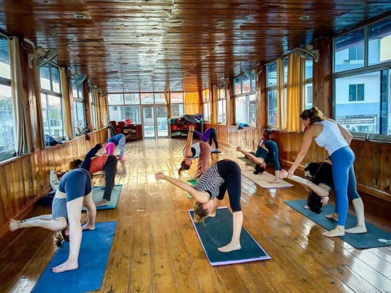 Interior view of 100 Hour Yoga Teacher Training Course (TTC) – Rishikul Yogshala Rishikesh retreat location